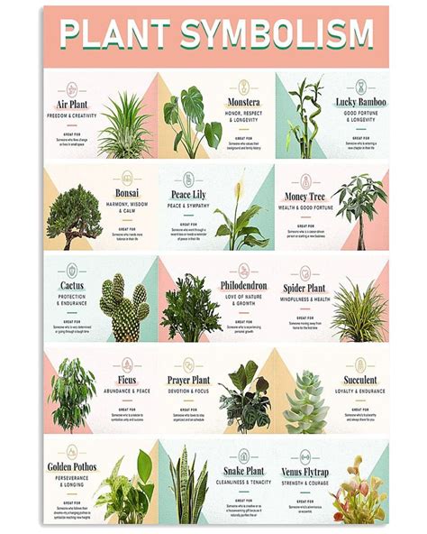 blackjack plant spiritual meaning|Plant Symbolism And How To Find Your Spirit Plant.